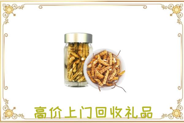 鄂州周边回收虫草